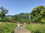 4535CF4C-931E-4474-ADF1-93615F47A789.jpg