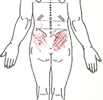 644C7B84-863A-48A3-BD9F-71AA53E329D5.jpg
