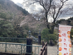 A02CC765-2C59-4B10-9EE1-A28AE7B18EAF.jpg