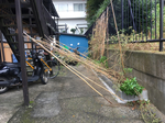 C6DD218C-D6F2-4387-920C-BAFC25841A59.jpg