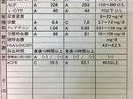 image1.jpeg