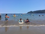 image1 (2).jpeg