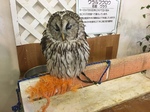 image3 (1).jpeg