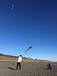image8.jpeg