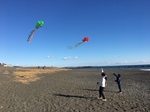 image9.jpeg